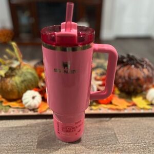 40 oz Wicked Stanley Tumbler - Glinda